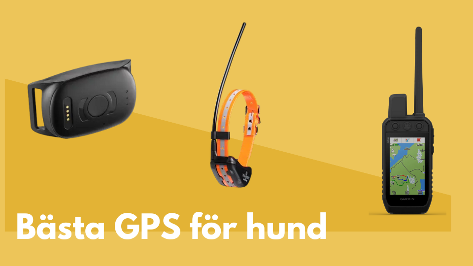 GPS för hundar