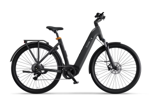 Ecoride Tripper 4