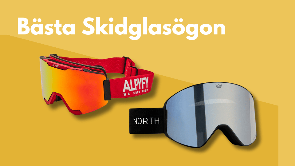 Skidglasögon