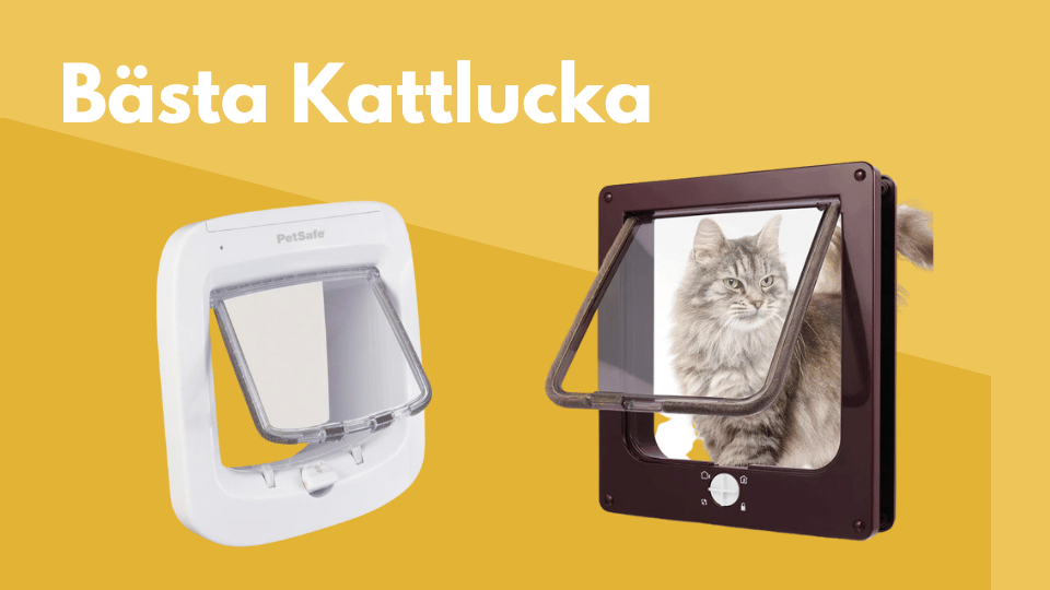 Kattlucka