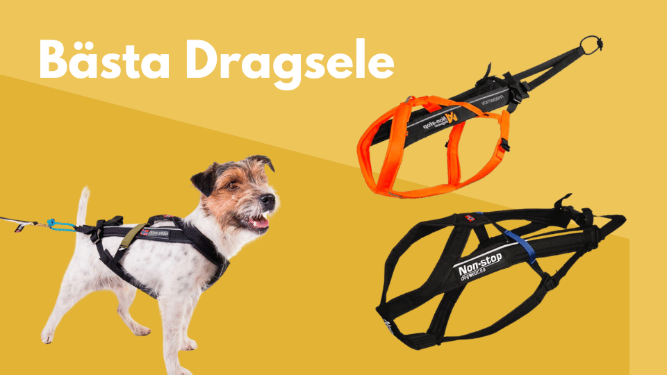 Dragsele
