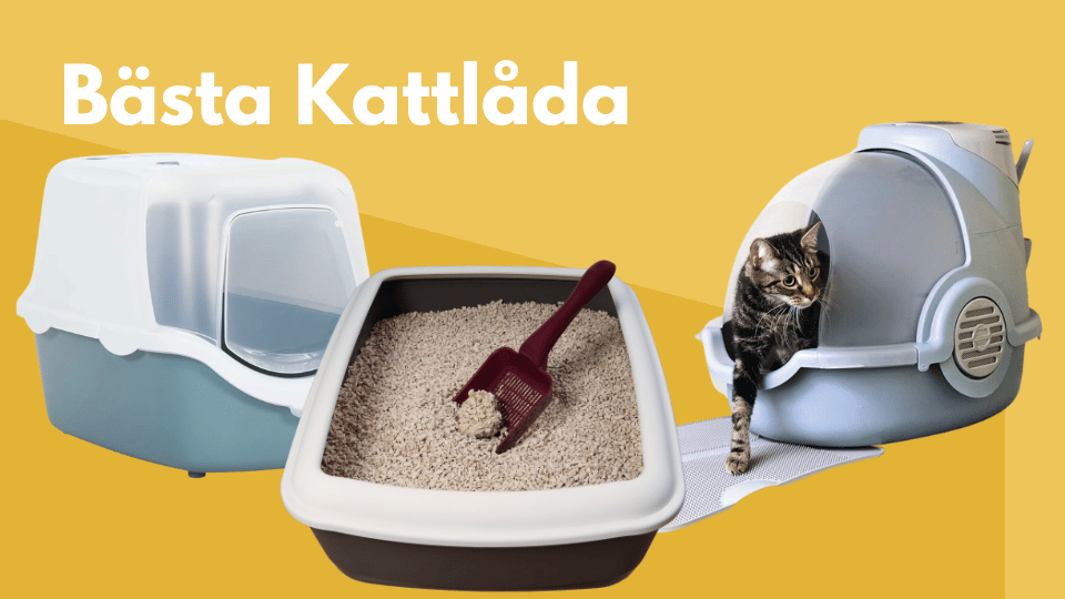 Kattlåda