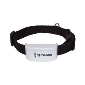 Winnes GPS TK-909