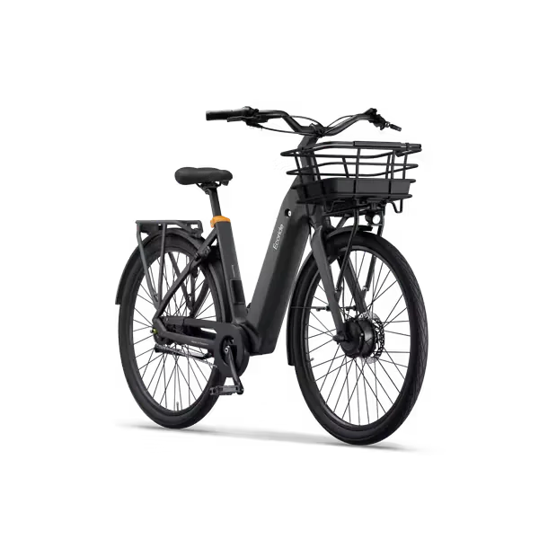 Ecoride Ambassador 4