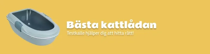B&auml;sta kattl&aring;da