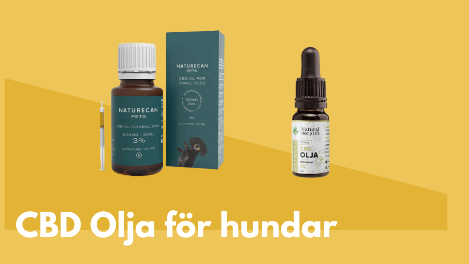 CBD-olja f&ouml;r hundar thumbnail bild