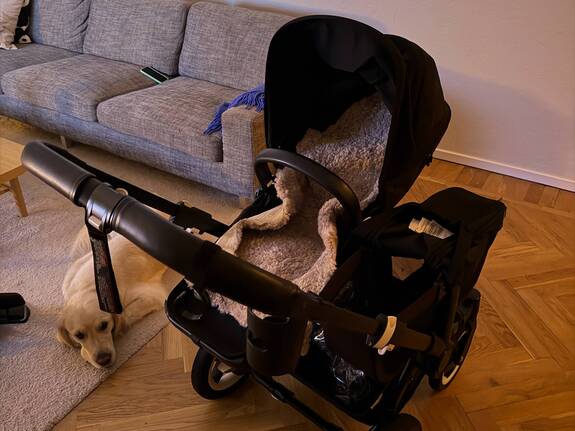 Bugaboo Donkey 5