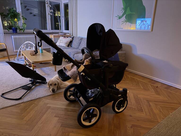 Bugaboo Donkey 5