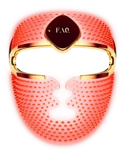 FAQ Swiss 202