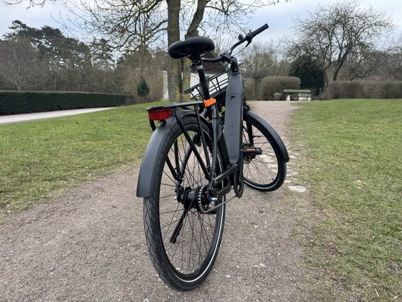 Ecoride Ambassador 4