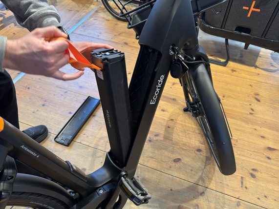 Ecoride Ambassador 4
