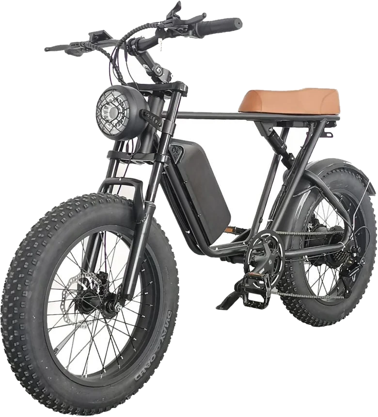 GreenTrip C91 Fat Bike 1000W