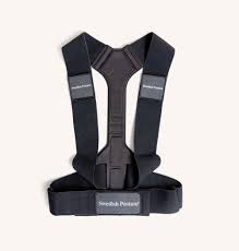 Swedish Posture ReAlign