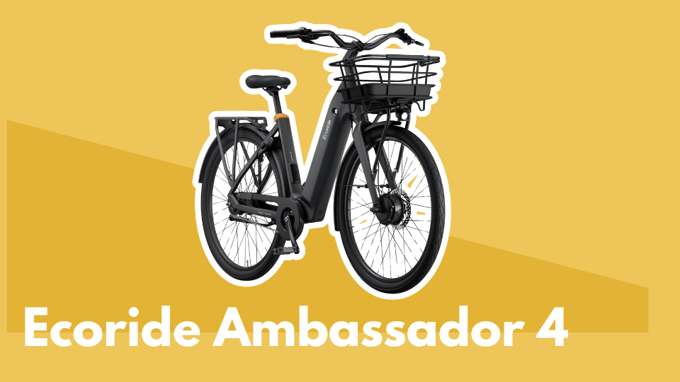 Ecoride Ambassador 4 thumb